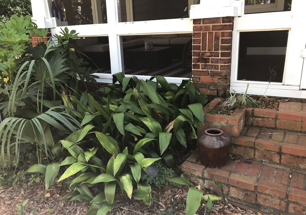 Photo of Outdoor in East Pensacola Heights