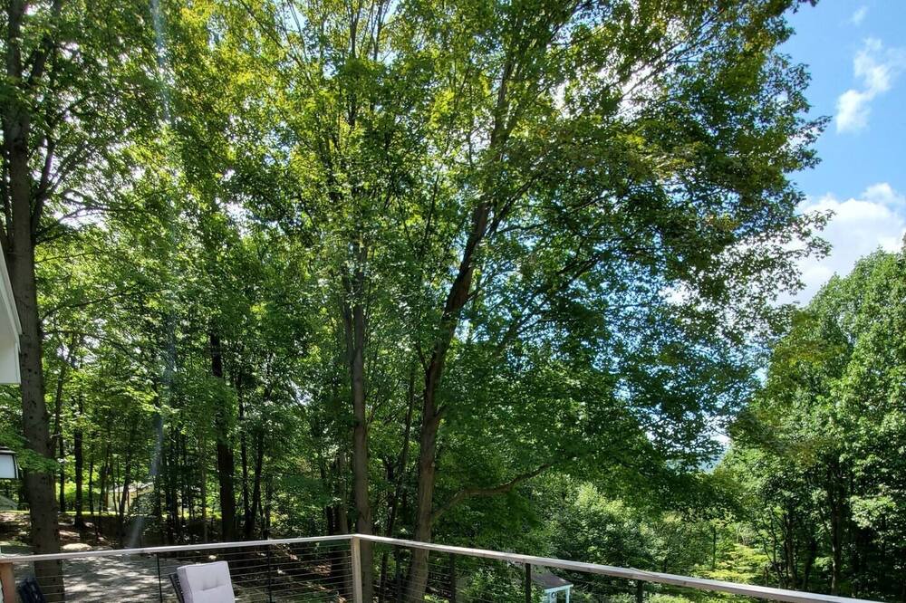 Photo of Outdoor in Cold Spring