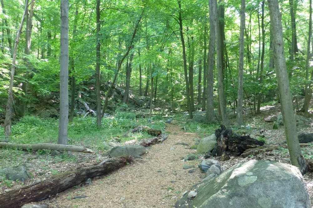 Photo of Outdoor in Cold Spring