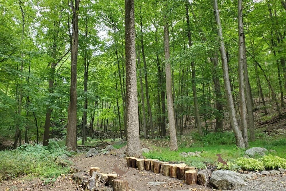 Photo of Outdoor in Cold Spring