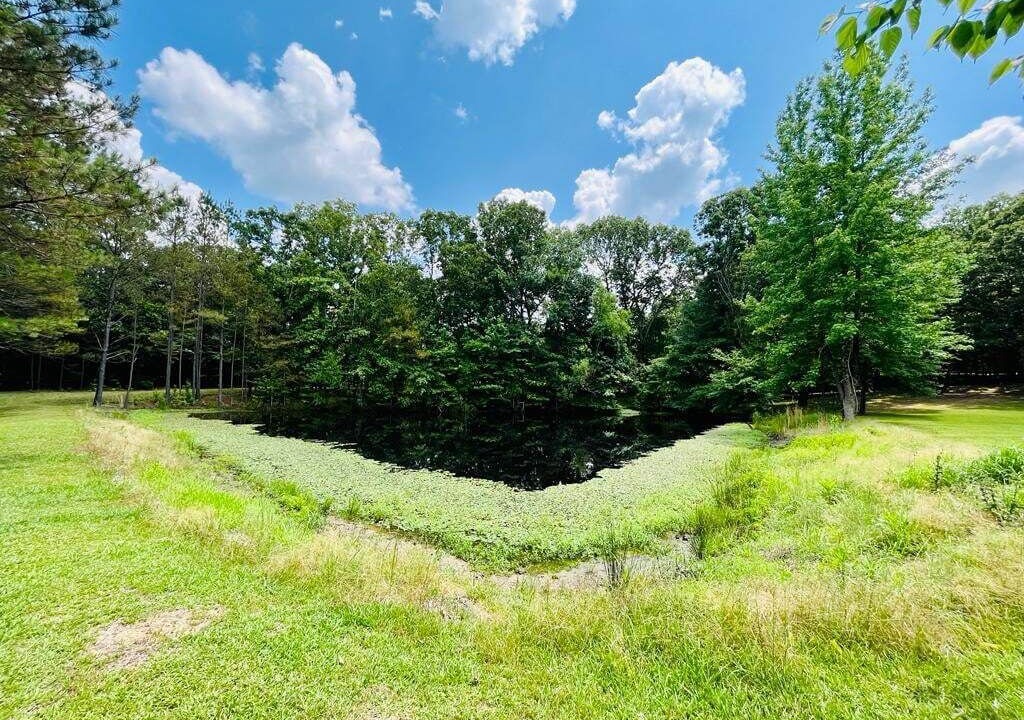 Photo of Outdoor in Water Valley