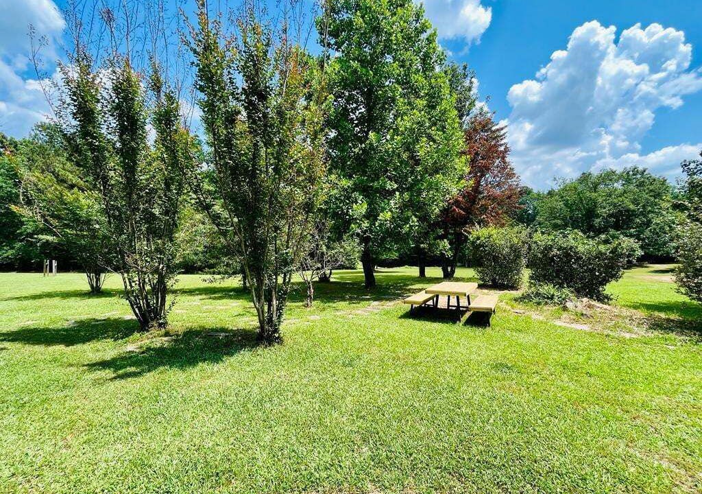 Photo of Outdoor in Water Valley