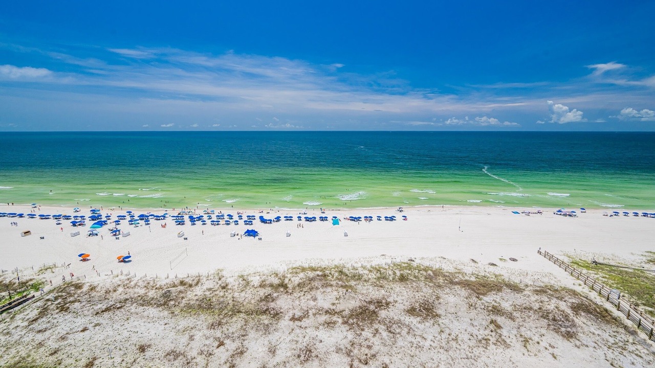 Photo of Others in Orange Beach East