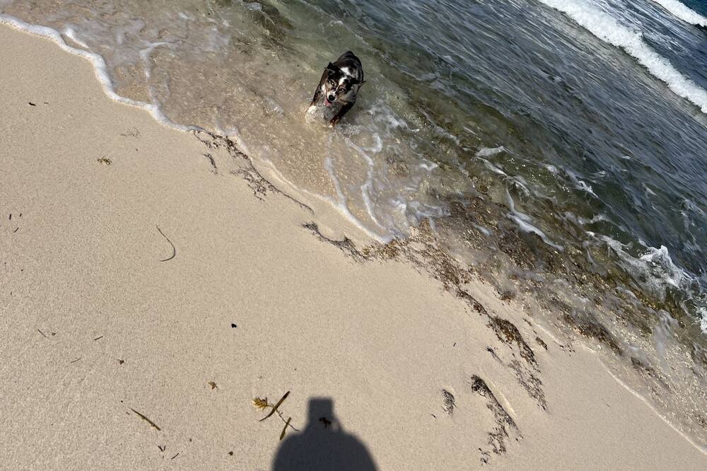 Photo of Others in Lubbers Quarters Cay