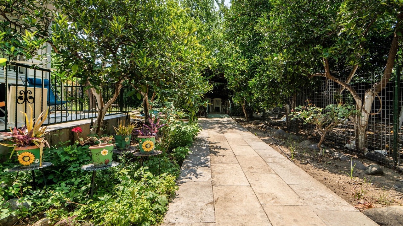 Photo of Outdoor in Koycegiz