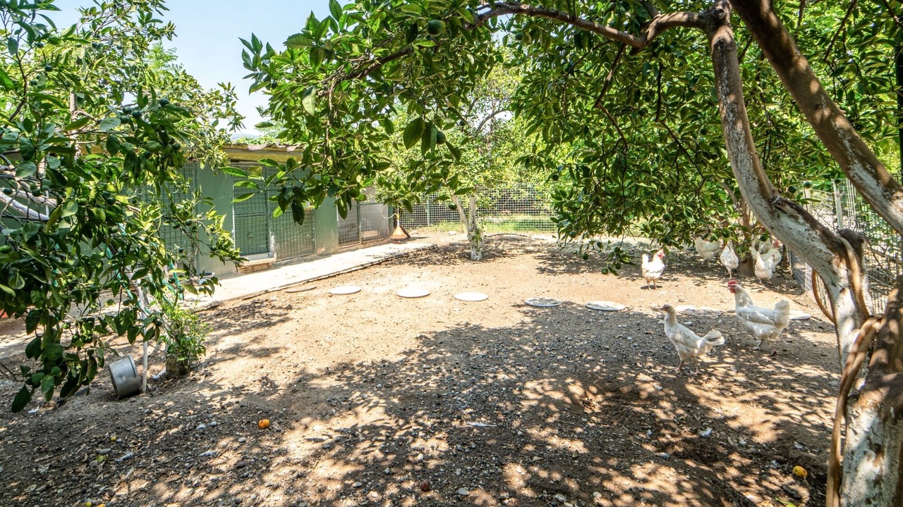Photo of Outdoor in Koycegiz