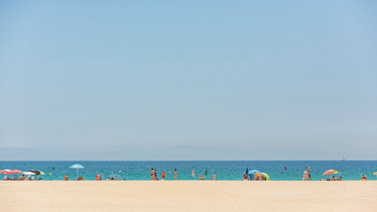 Photo of Others in Bolonia