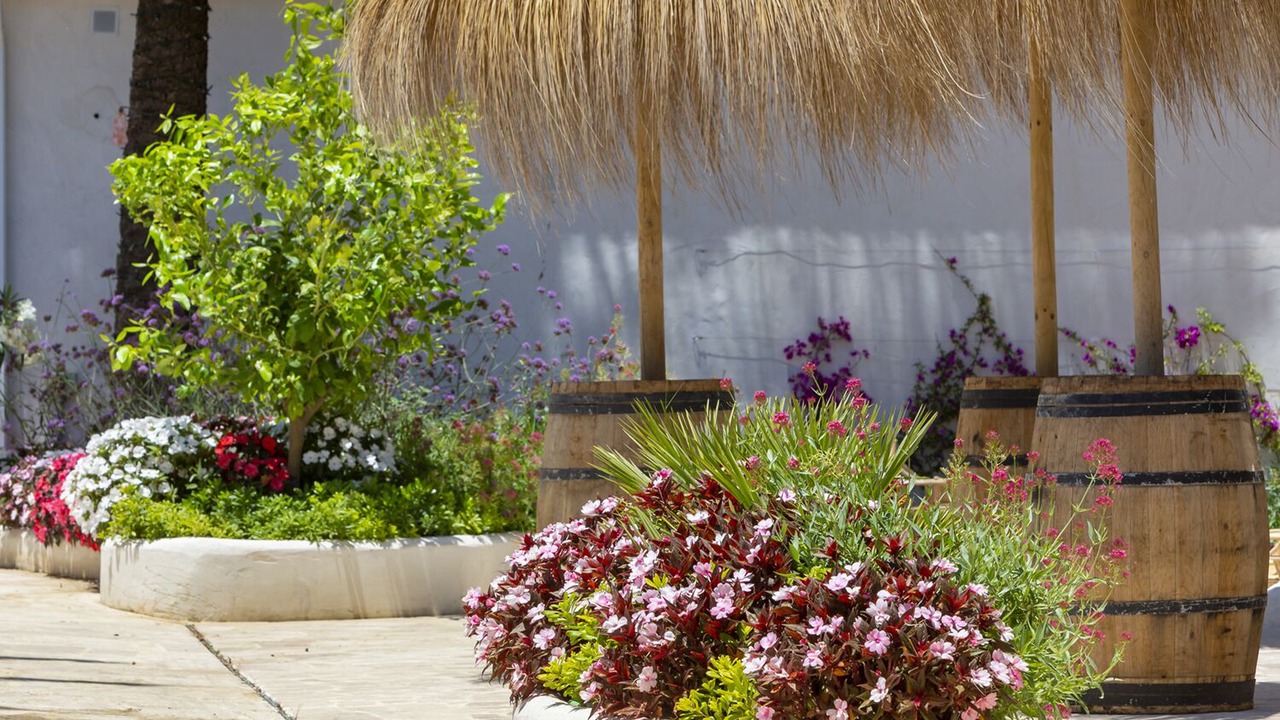 Photo of Patio Balcony in Bolonia