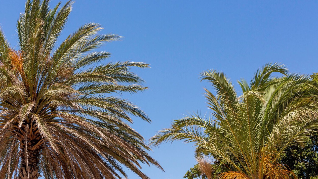 Photo of Outdoor in Bolonia