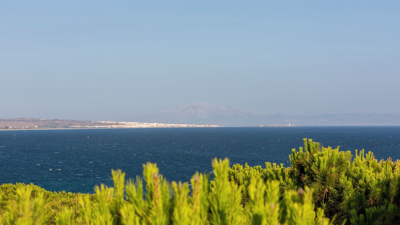 Photo of Others in Bolonia