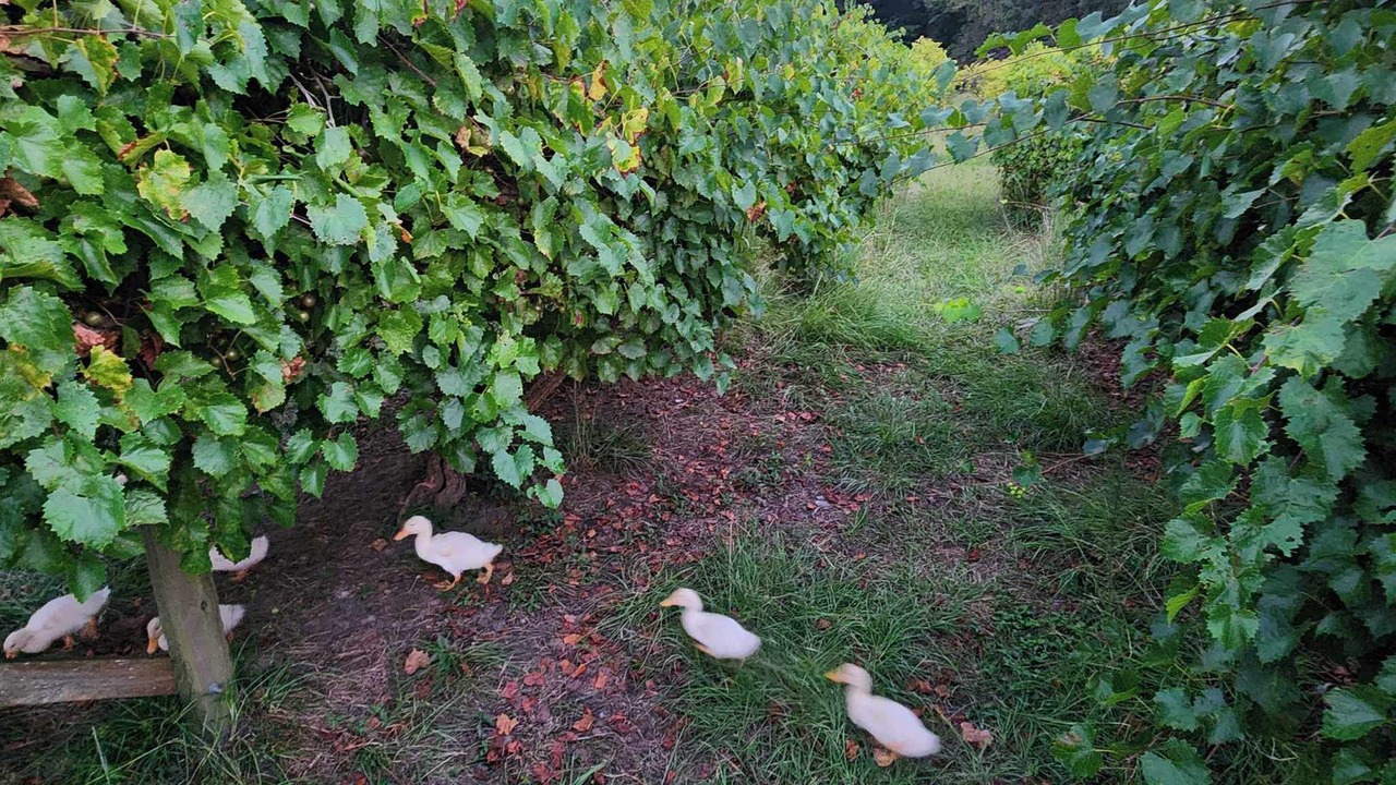 Photo of Outdoor in Ernul