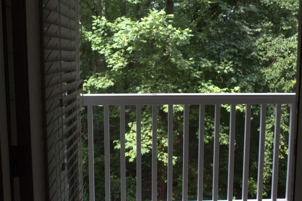 Photo of Outdoor in Umstead