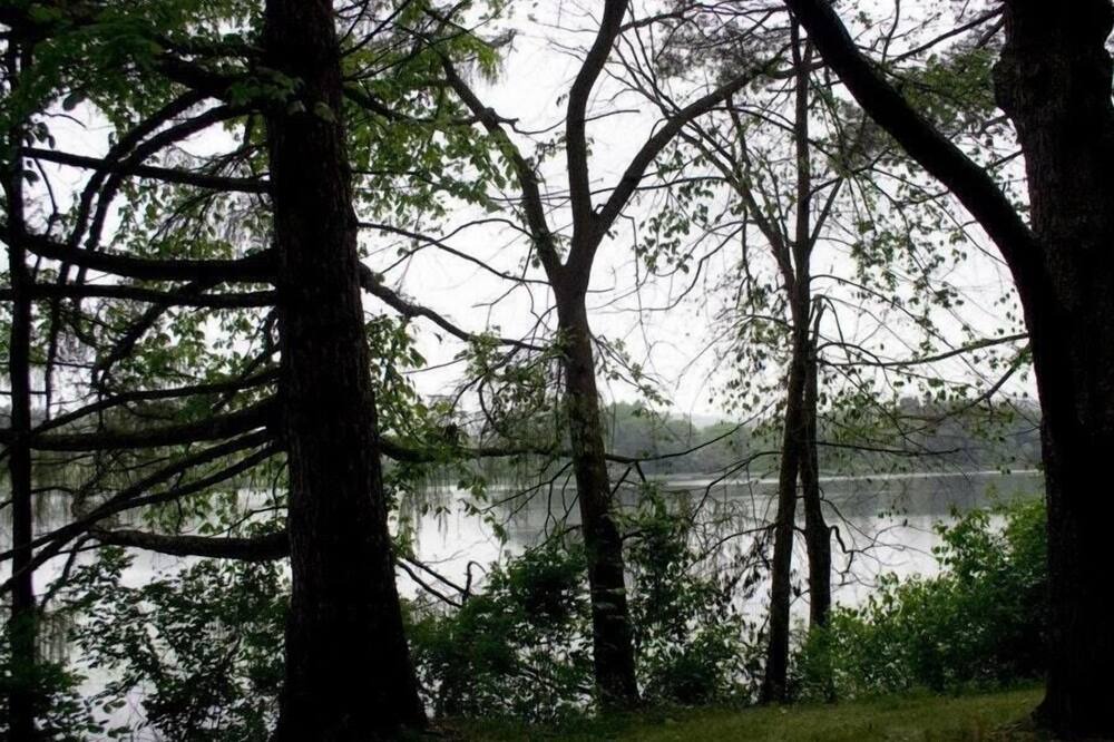 Photo of Others in Copake Falls