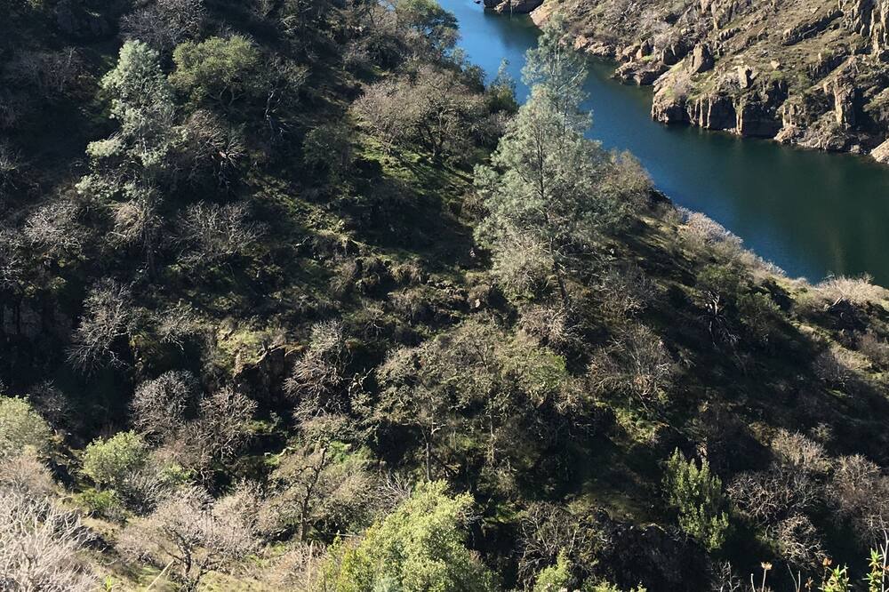 Photo of Others in Sutter Creek