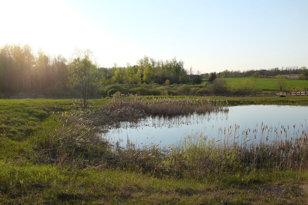 Photo of Outdoor in Centre Wellington