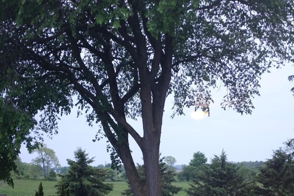 Photo of Outdoor in Centre Wellington