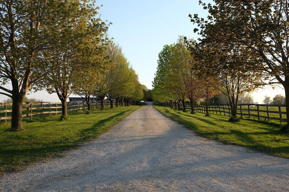 Photo of Outdoor in Centre Wellington