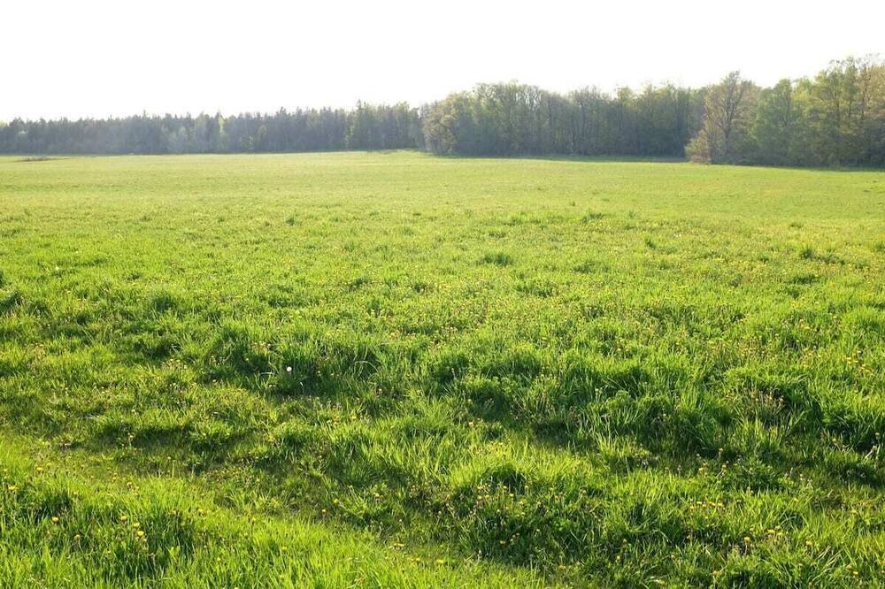 Photo of Outdoor in Centre Wellington