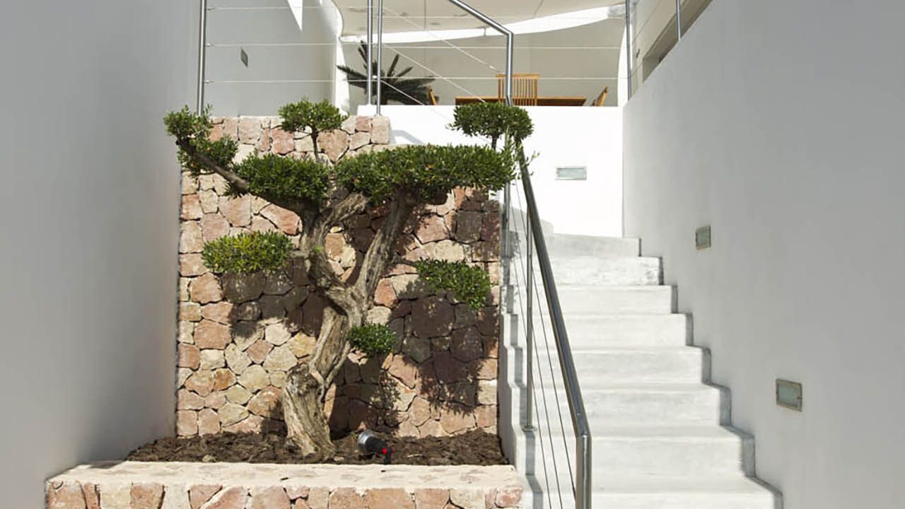 Photo of Outdoor in Sant Antoni de Portmany