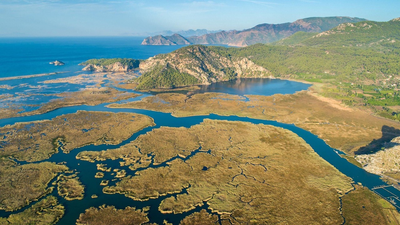 Photo of Others in Dalyan