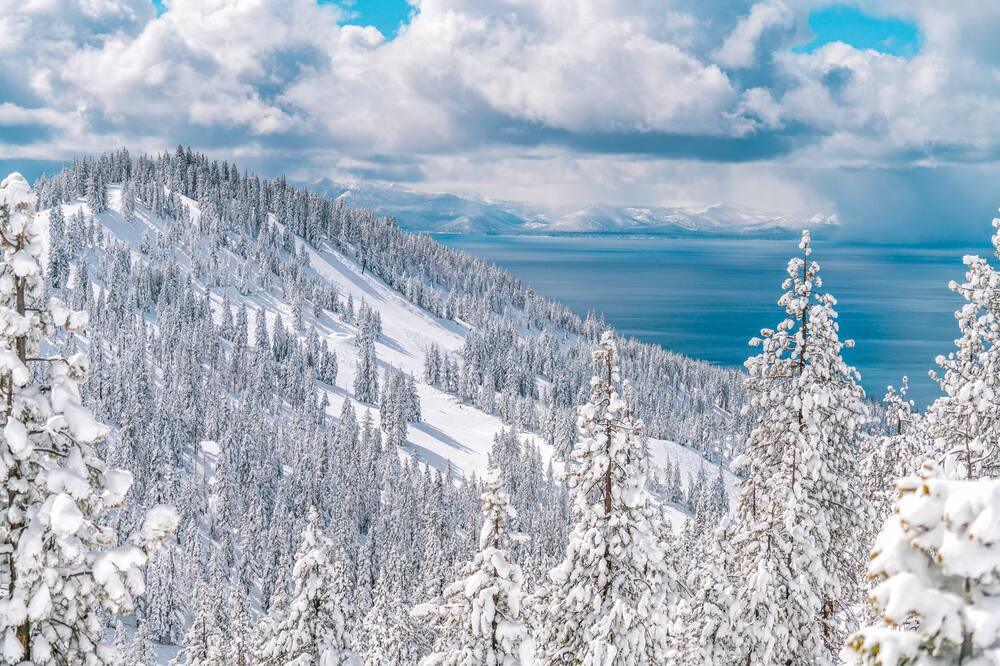 Photo of Others in Incline Village