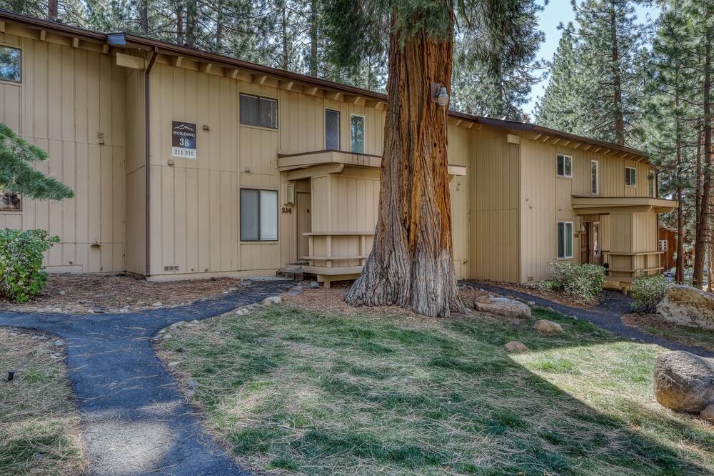 Photo of Others in Incline Village