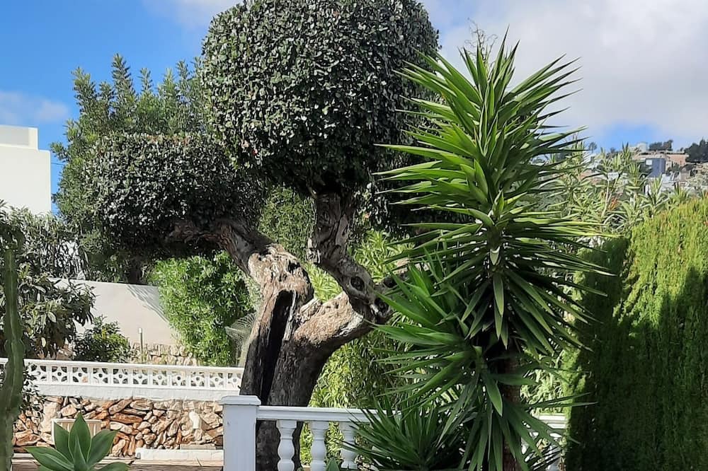 Photo of Outdoor in Benimeit