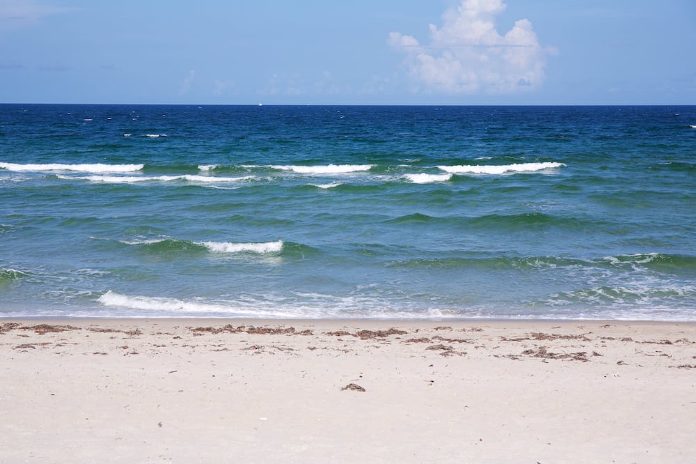 Photo of Others in Hillsboro Beach
