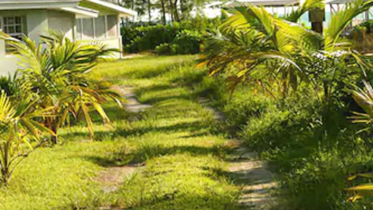 Photo of Outdoor in Kemps Bay