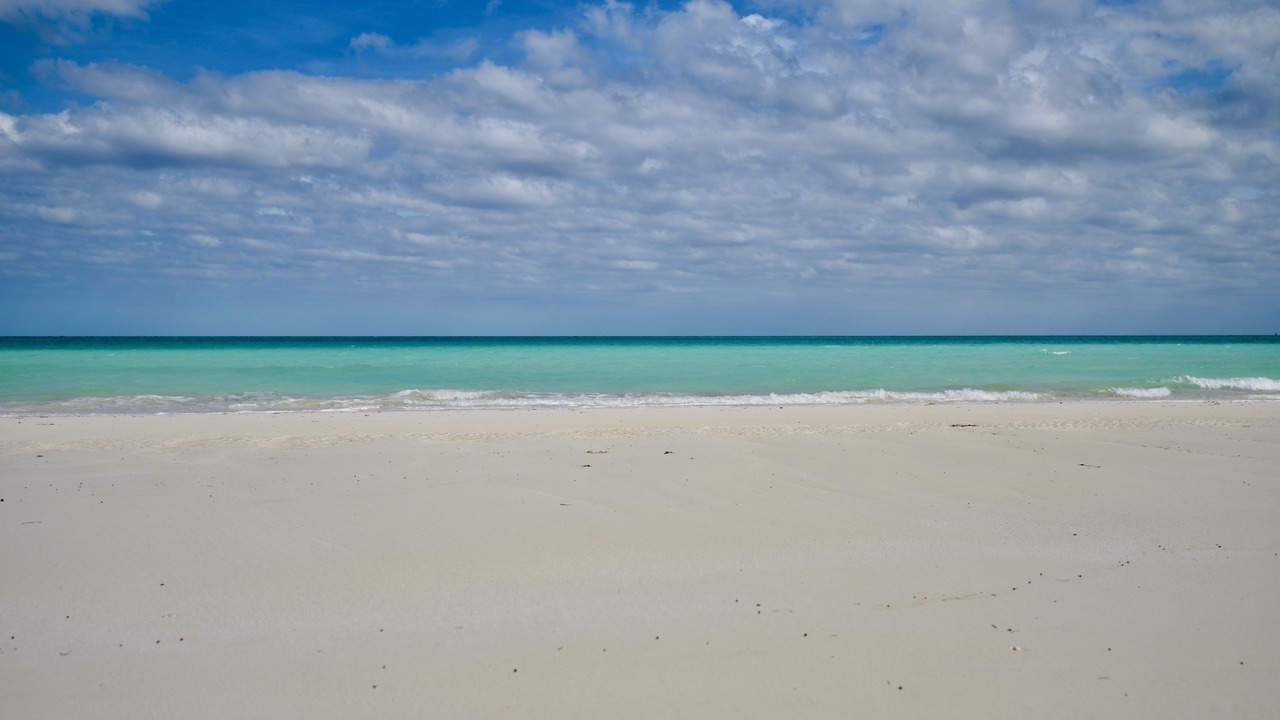 Photo of Others in Kemps Bay