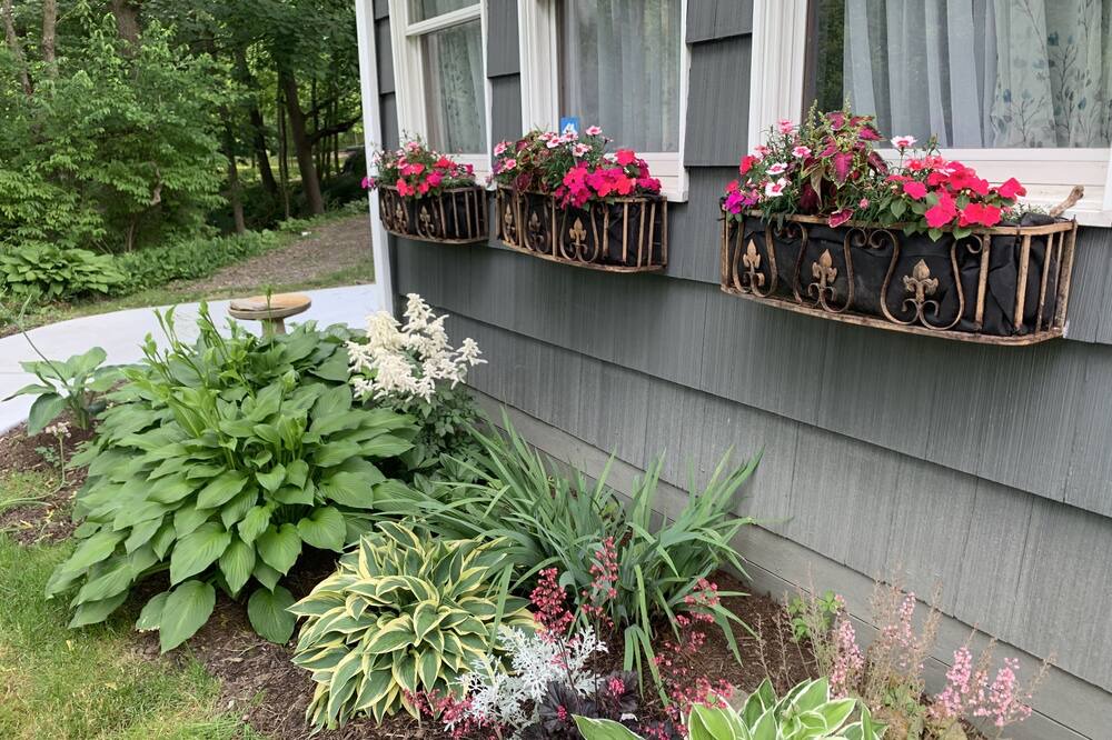 Photo of Outdoor in North Boston