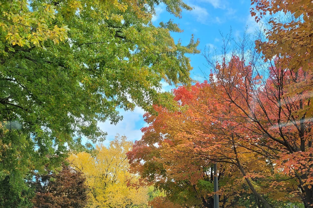 Photo of Outdoor in Fergus