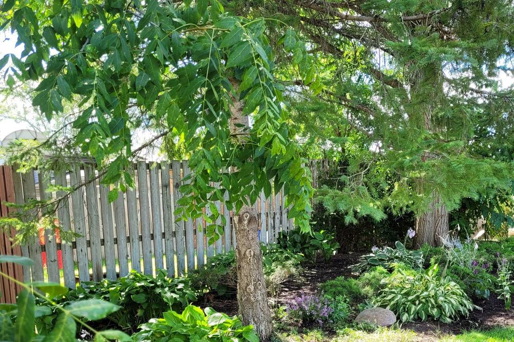 Photo of Outdoor in Fergus