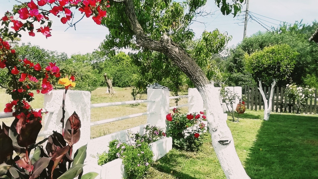 Photo of Outdoor in Agios Gordios