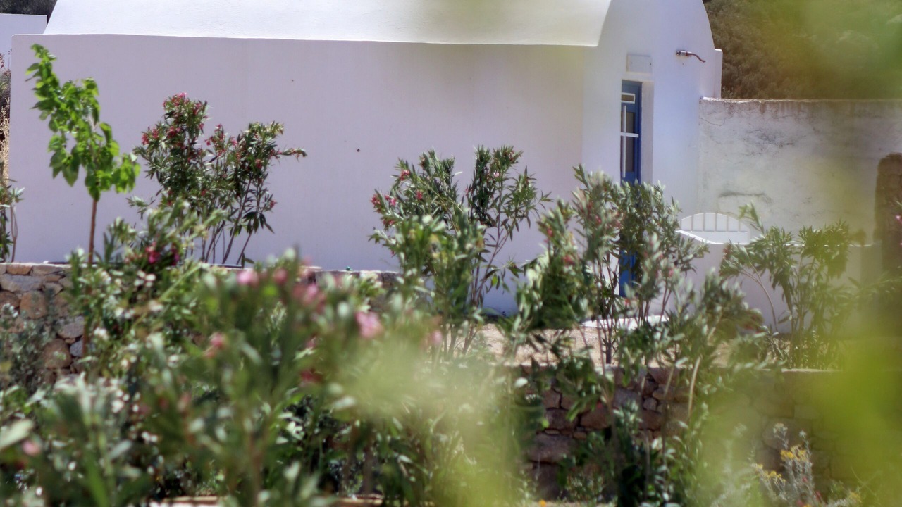 Photo of Outdoor in Plaka