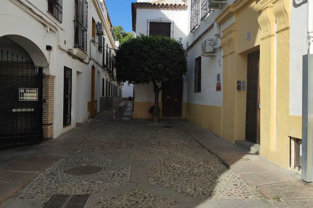 Photo of Outdoor in San Basilio