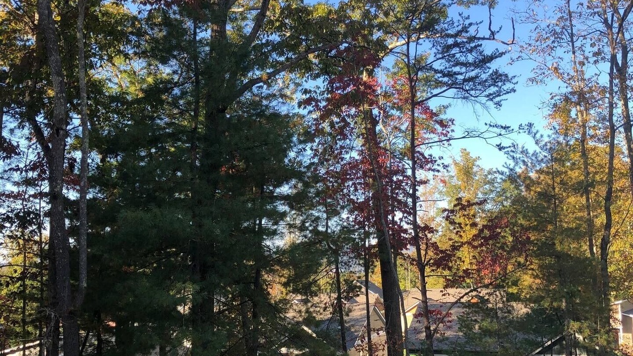 Photo of Outdoor in Oakley
