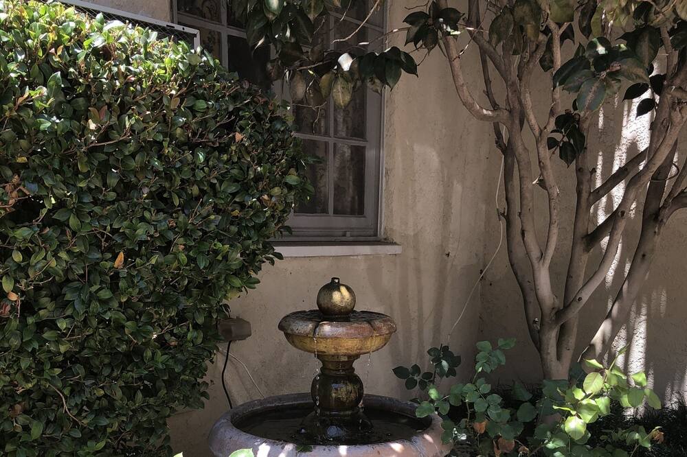 Photo of Outdoor in Westwood