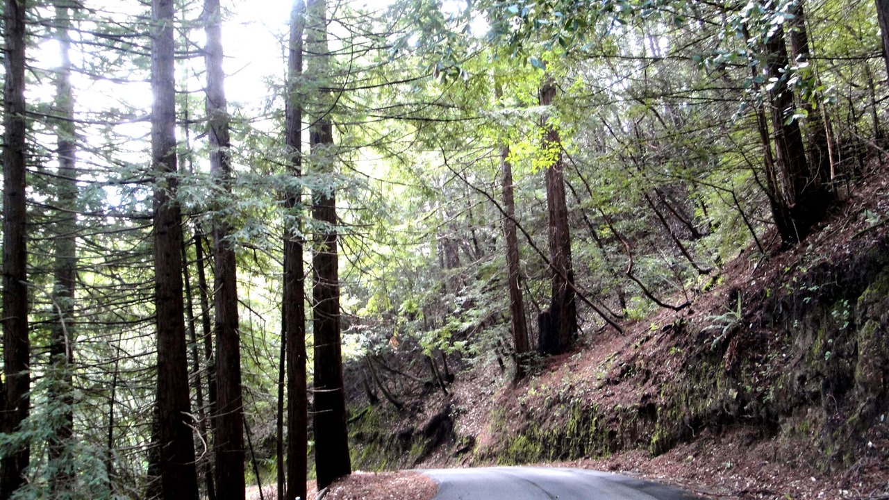 Photo of Outdoor in Los Gatos