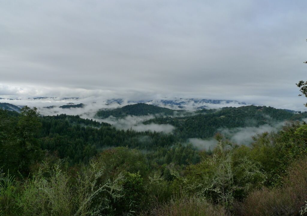 Photo of Outdoor in Los Gatos
