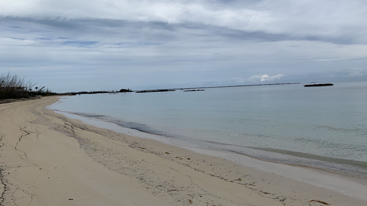 Photo of Others in Bahama Palm Shores