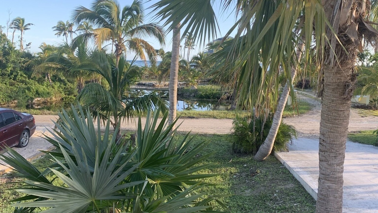Photo of Outdoor in Bahama Palm Shores