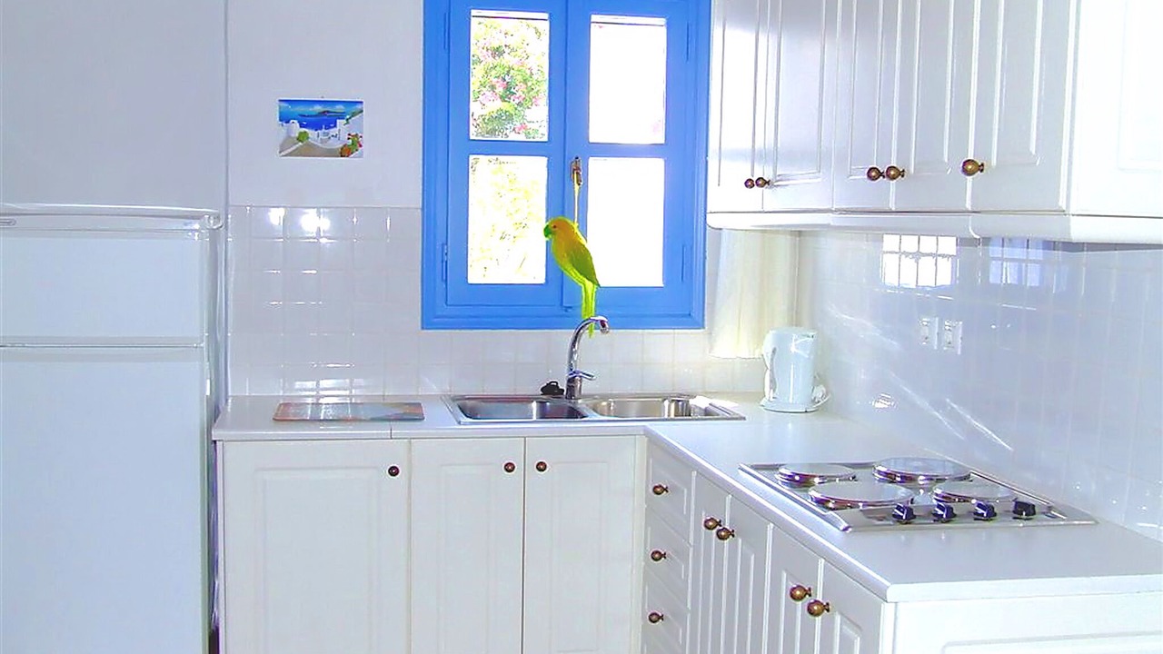 Photo of Kitchen in Agios Sostis