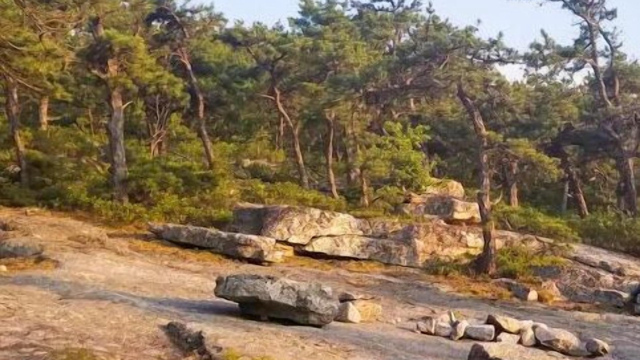 Photo of Outdoor in Bloomingburg