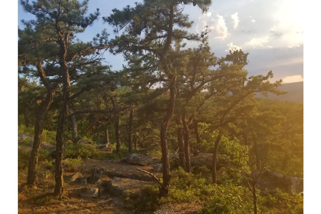 Photo of Outdoor in Bloomingburg