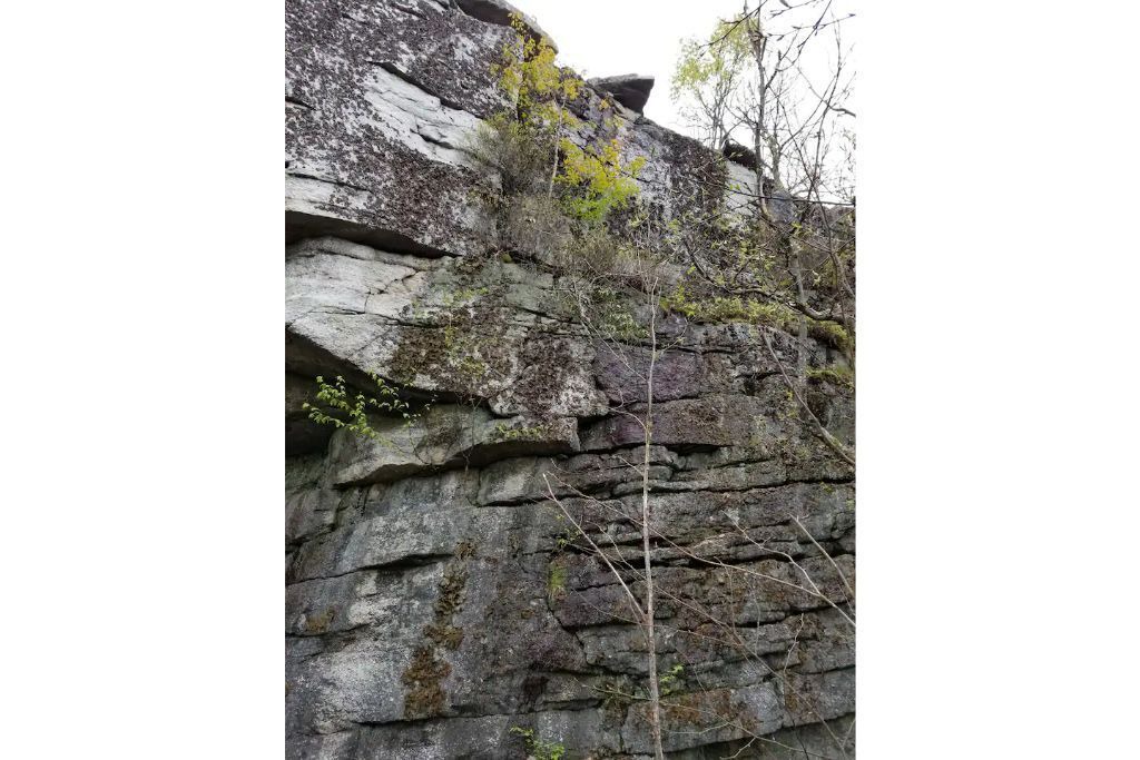 Photo of Others in Bloomingburg