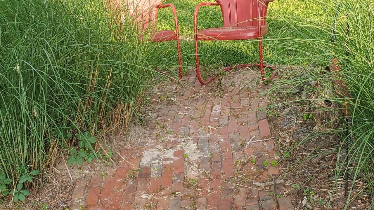 Photo of Outdoor in Scooba