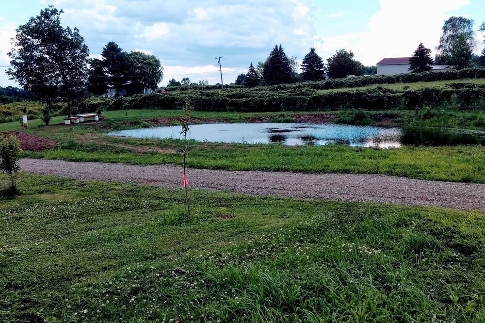 Photo of Outdoor in Ripley