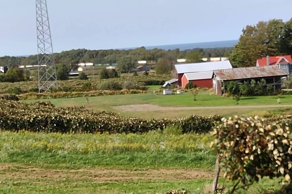 Photo of Outdoor in Ripley