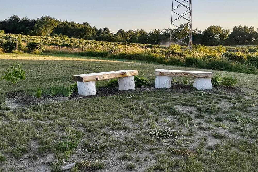 Photo of Outdoor in Ripley